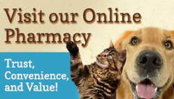 Visit our online pharmacy, trust convenience and value!