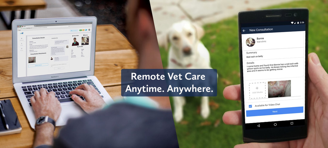 Remote Vet Care. Anytime. Anywhere.
